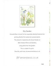 Beth Chatto Card - Dry Garden