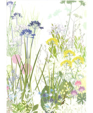 Beth Chatto Card - Dry Garden