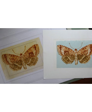 Drypoint Etching and Chine Colle'
