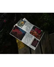 The Meanwhile Garden Zine #1