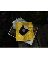 The Meanwhile Garden Zine #1