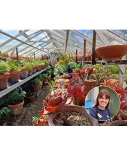 Succulents Masterclass with Emily Allard 