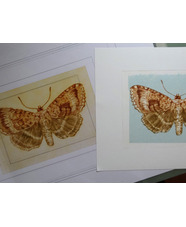 Drypoint Etching and Chine Colle'