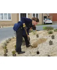 Planting in Sand and Rubble Course