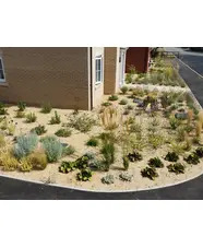 Planting in Sand and Rubble Course
