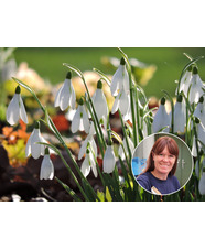 Bulb Chipping Masterclass with Emily Allard