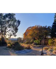 Beth Chatto Christmas Fair 