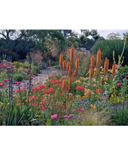 Focus on Border Design  