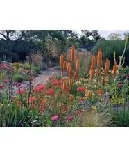 RHS L2 Certificate in principles of plant growth & Development at KINGS COLLEGE CAMBRIDGE
