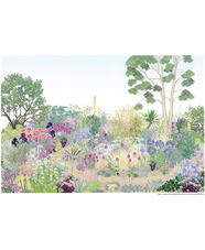 Beth Chatto's Gravel Garden Range - Greetings Card