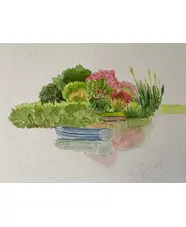 Modern Watercolours in the Garden