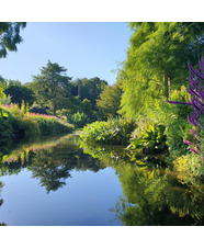 Beth Chatto Card Water Garden