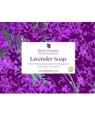 Beth Chatto Lavender Soap