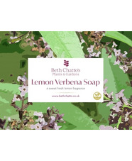 Beth Chatto Lemon Verbena Soap 