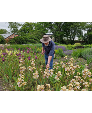 Iris Masterclass with Marc McHearne
