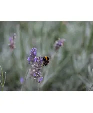 Photography: Nature's eye