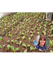 Seed Propagation Masterclass with Emily Allard