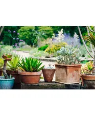 Beautiful Containers