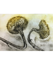 Drypoint Etching and Chine Colle'