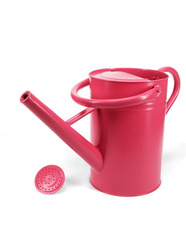 Galvanised Steel Watering Can 4.5L