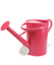Galvanised Steel Watering Can 4.5L