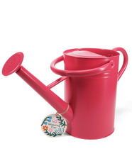 Galvanised Steel Watering Can 4.5L