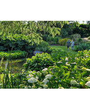 Summer Solstice in the Garden 