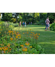 Summer Solstice in the Garden 