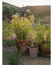 Pots and Planters Collection - Sun 