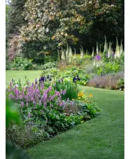 Garden Border 