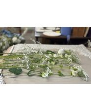 Botanical Casting Workshop