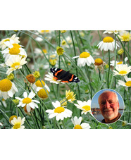 Wildside walks at Beth Chatto Gardens 
